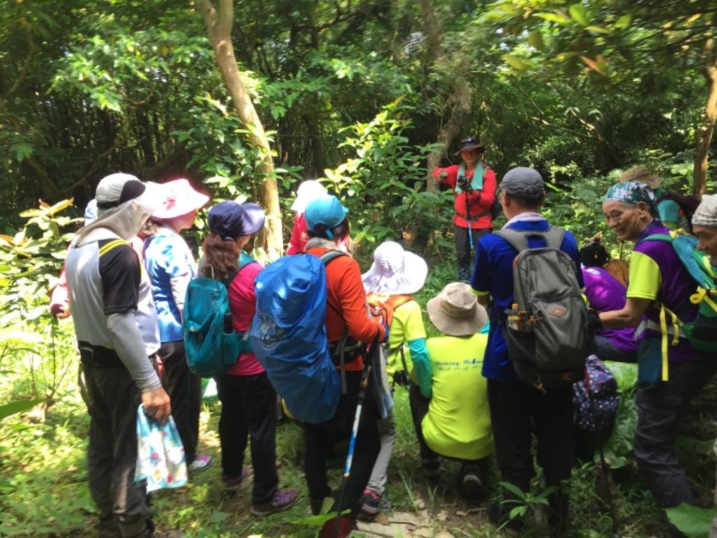 東北角嶐嶐山_374967