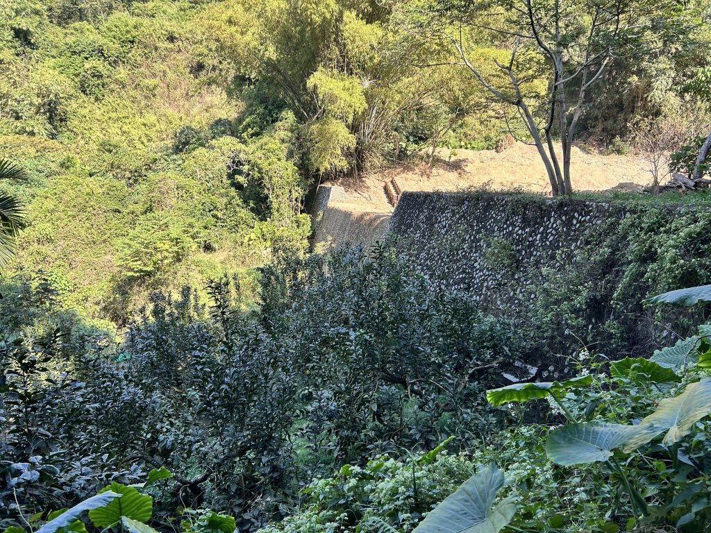 松柏嶺登廟步道_2957394