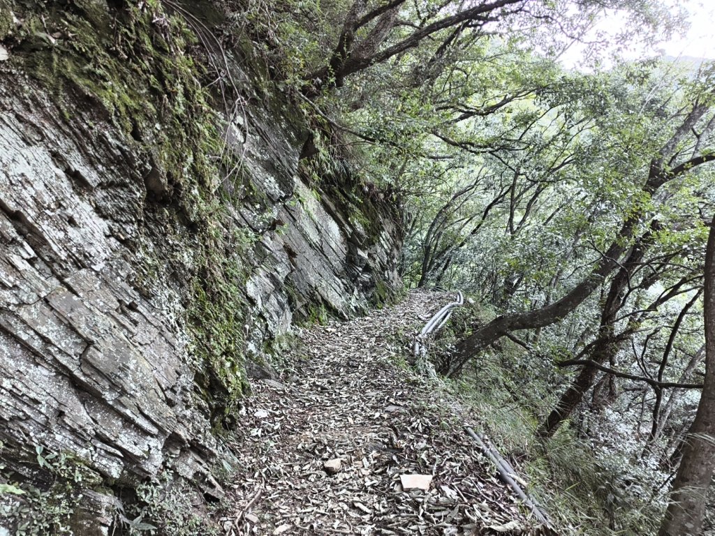 [玉山尋寶任務-07/12] 2025_0824 八通關雲龍瀑布步道_2870513