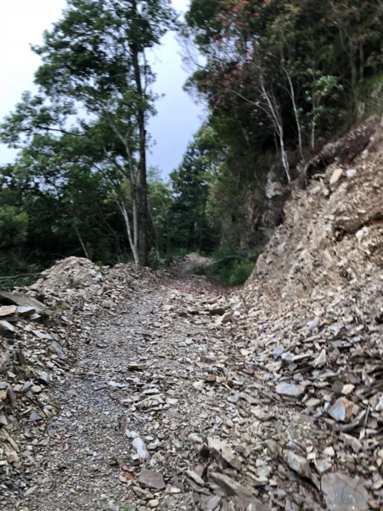 20180520 不膝軟是腿軟的西巒大山_336695