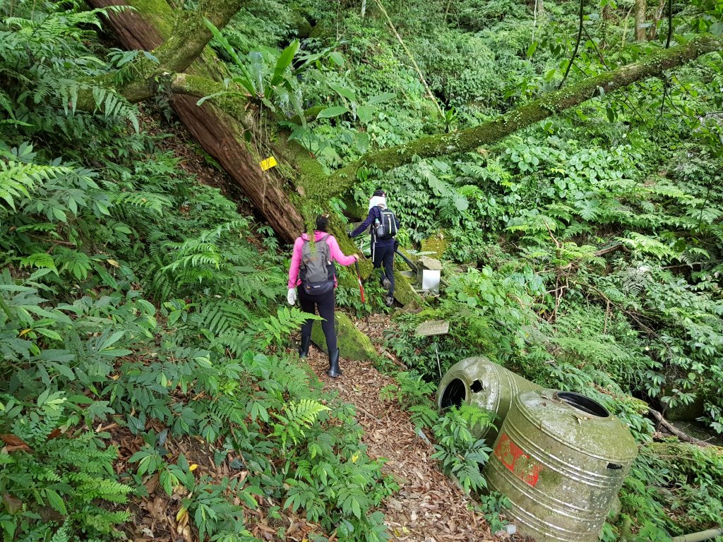 復興三尖之那結山_1423063