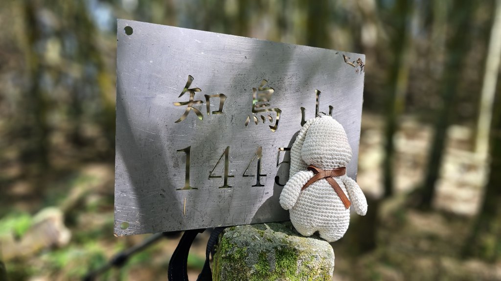 【四大天王山O型縱走未竟之旅：封山中的靜謐與省思】解鎖嘉義竹崎四大天王山、知鳥山。封面圖