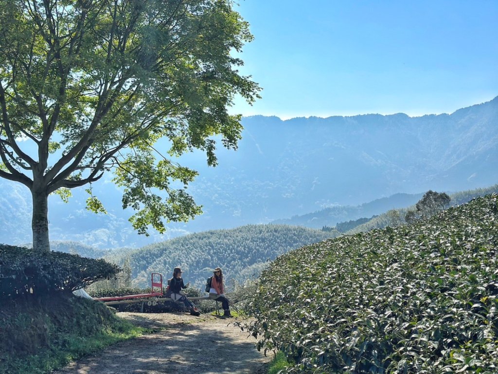 溪頭六連峰O繞_2741722