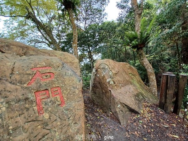 【苗栗大湖】山頂展望佳等到雲海。 馬那邦山登山步道_2806805