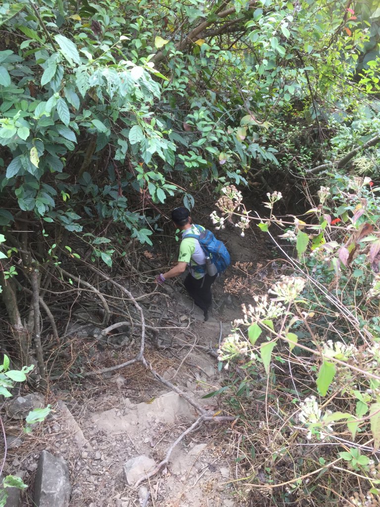 20230123高雄九茶縱走_2016144
