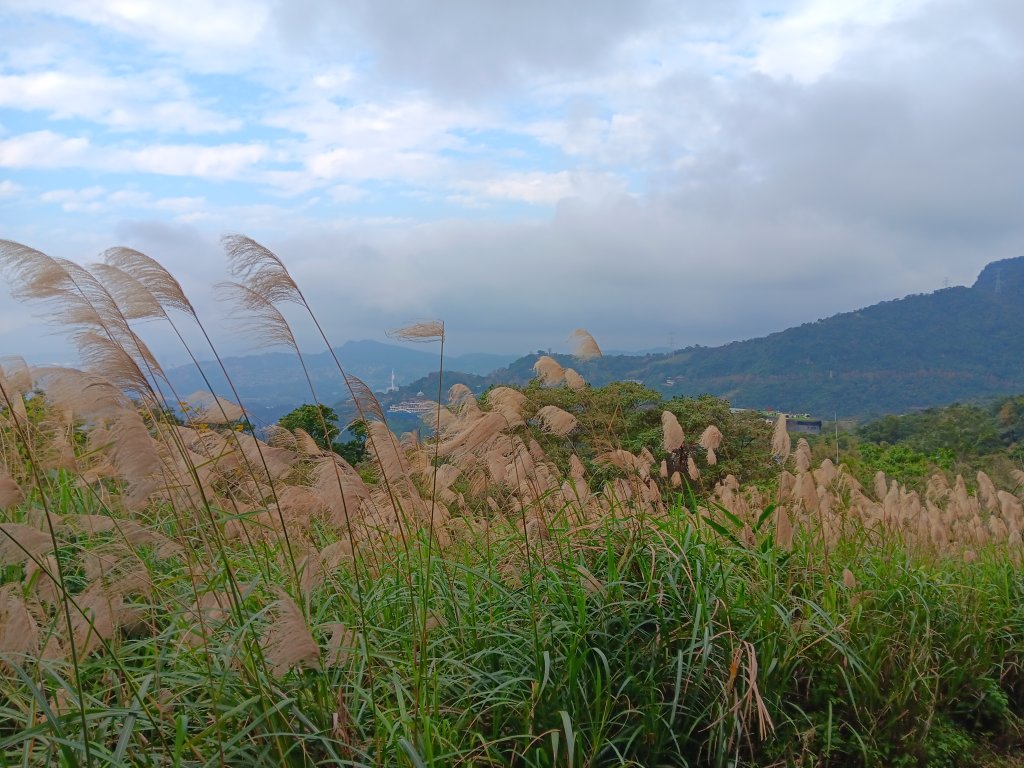 微笑山線二格山系銀河洞越嶺段_2986158