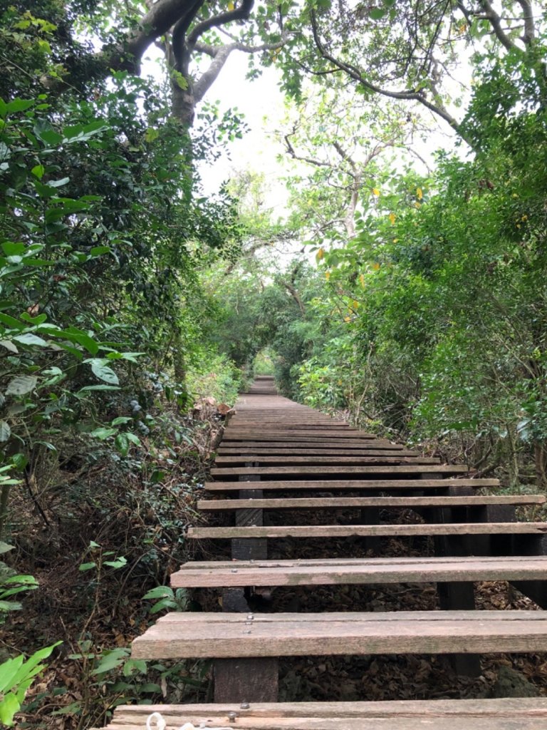 2020.04.02北柴山_900704