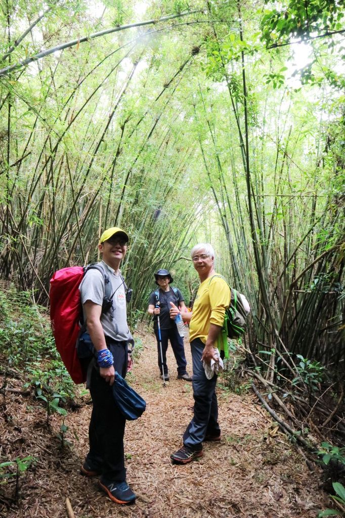 文山步道連走三段崎古道_128030