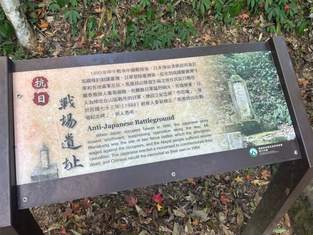 苗栗大湖-馬那邦山-小百岳037_2679924