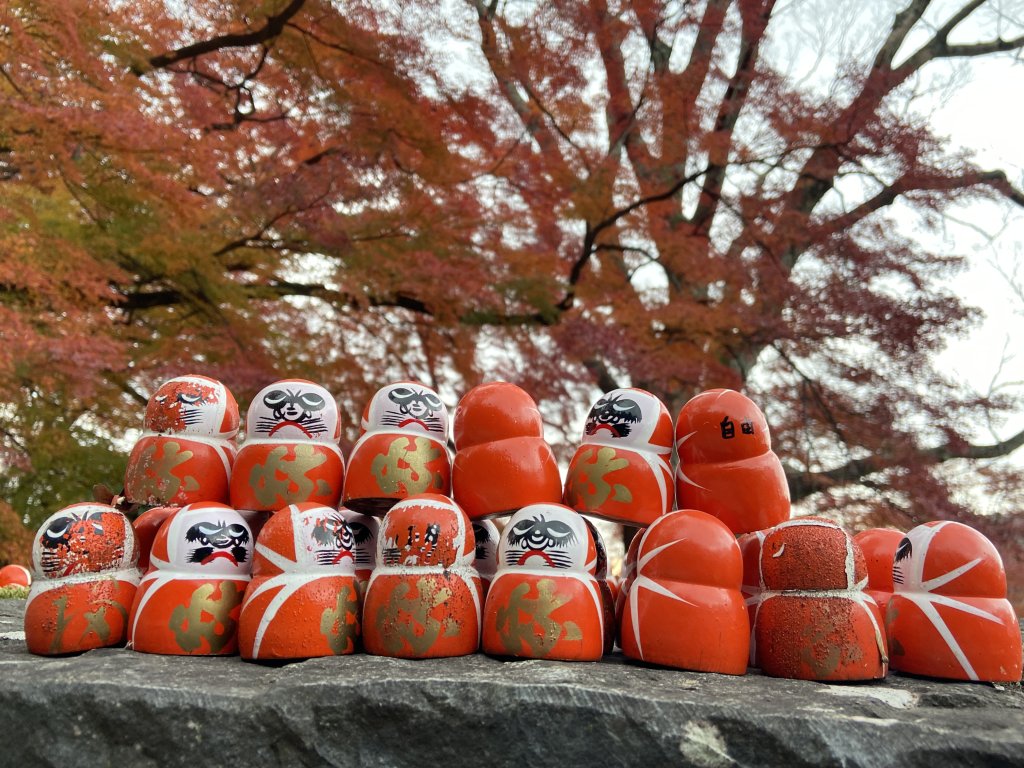 楓之絆----京都大阪賞楓_2967320