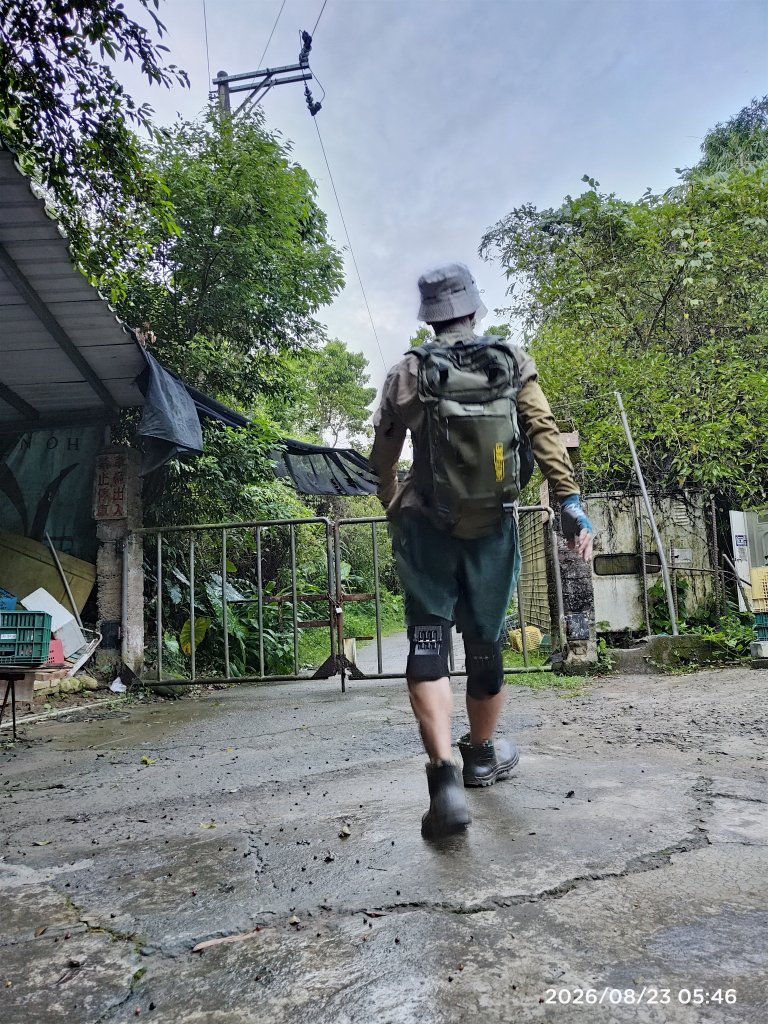 小百岳集起來飛鳳山、觀日坪古道202608230820封面圖