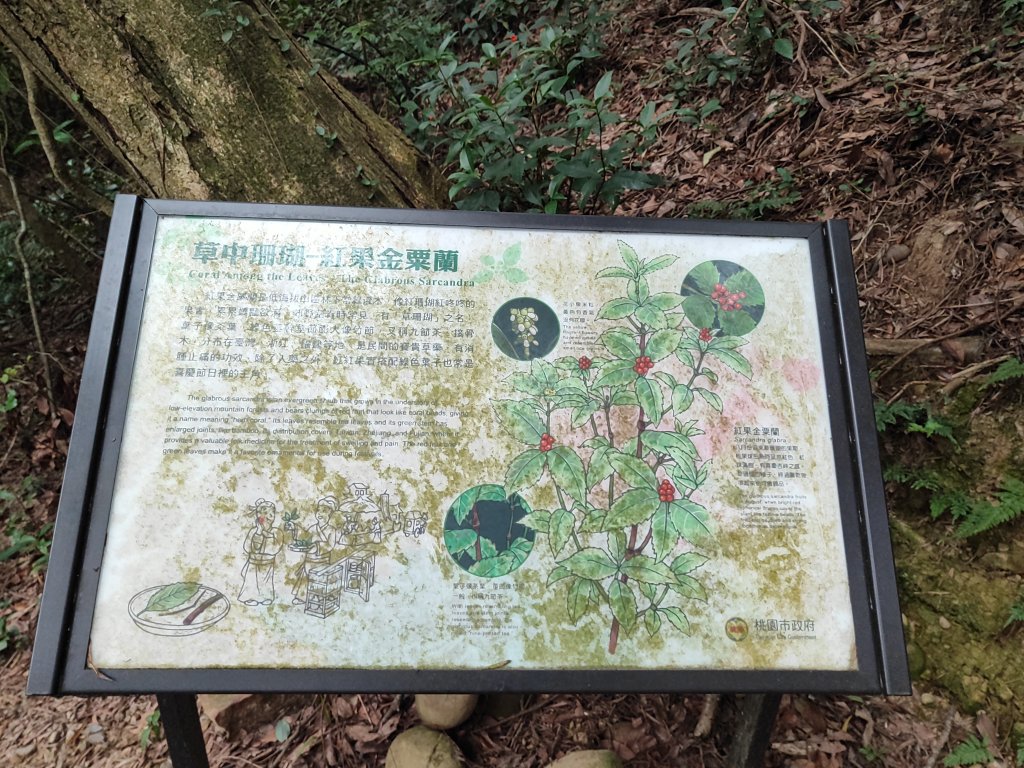 五酒桶山_3003910