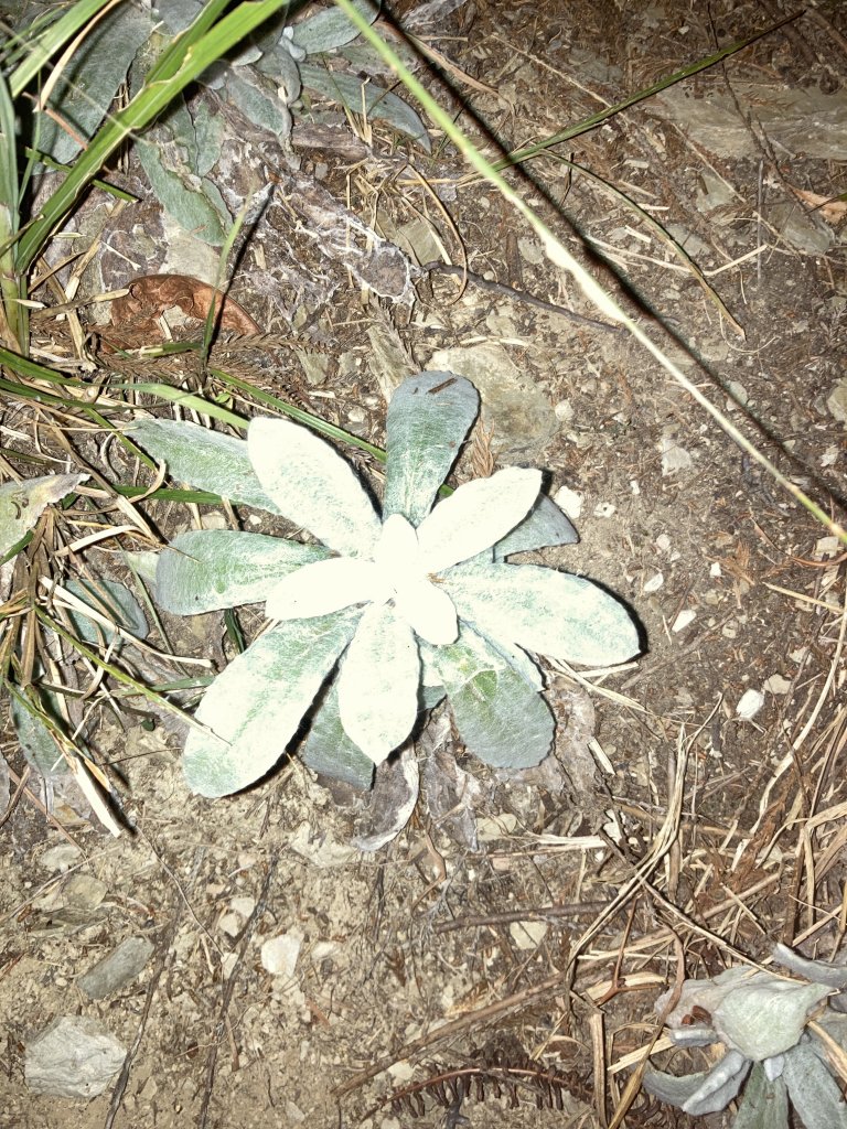 2022.12.15_20干卓萬橫斷_2012423