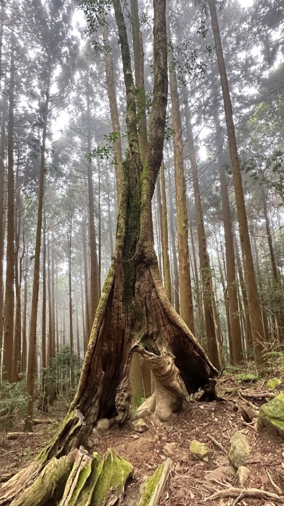 哈加縱走_2936971