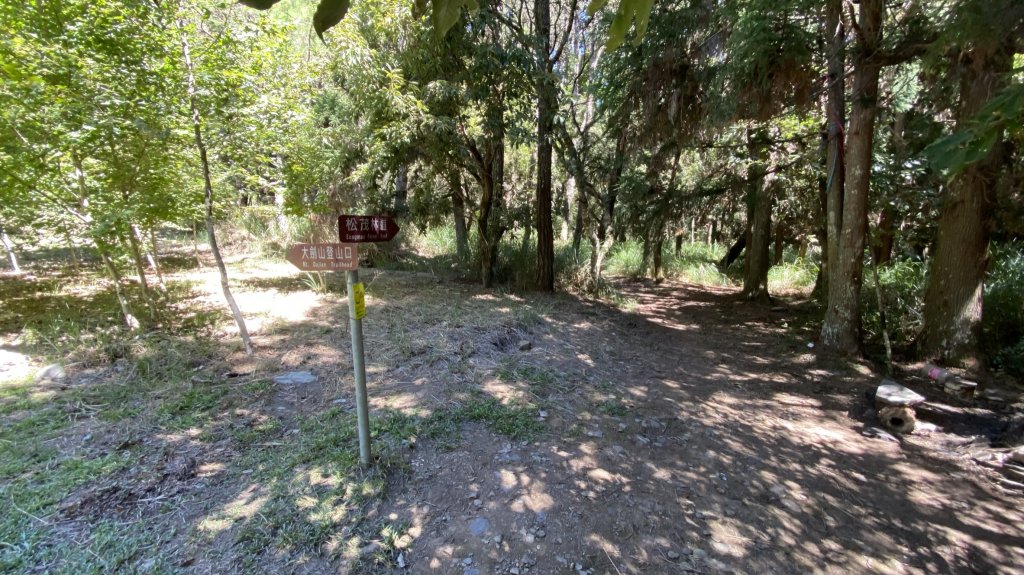 志雪劍之旗_1488500