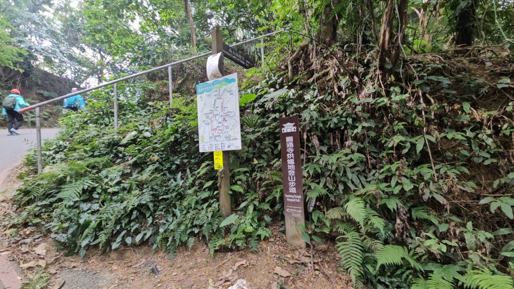 圓通寺烘爐地登山步道大O走_3006971