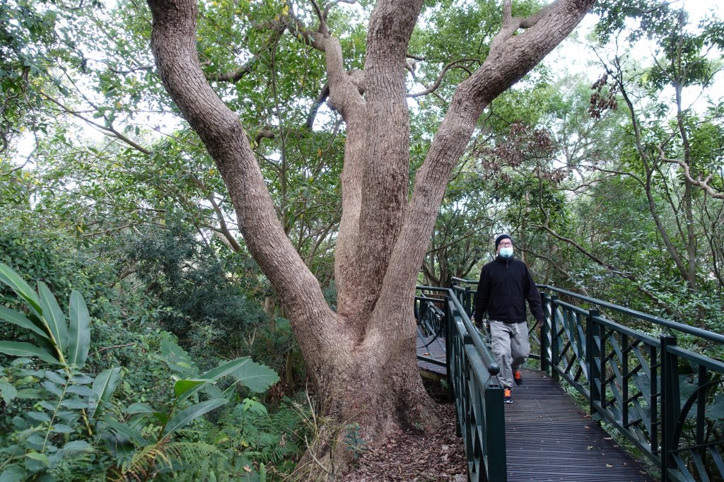 和美山．碧潭_819271