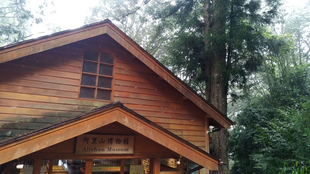 阿里山五奇_306254