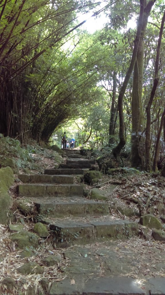 【臺北大縱走3，陽明山東西縱走】冷擎步道_1047168