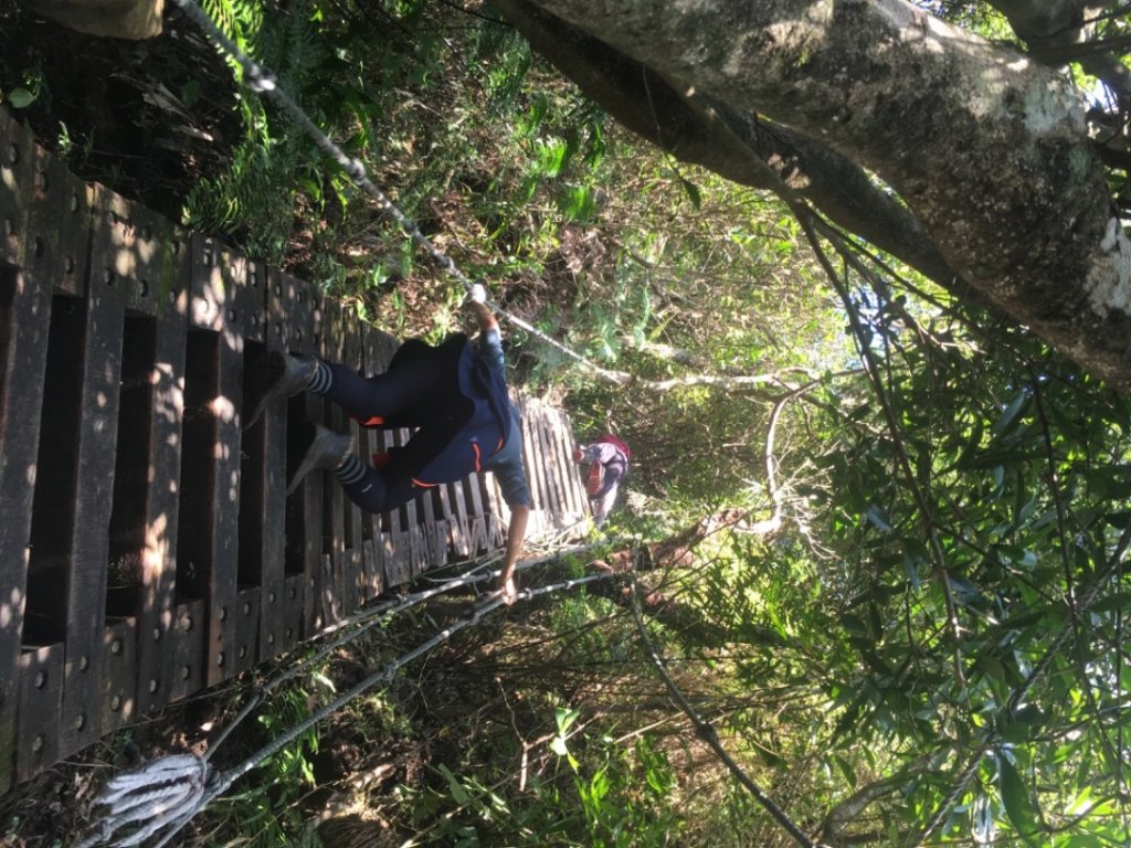 獅仔頭山、粽串尖、大丘田山、雲海101_2027662