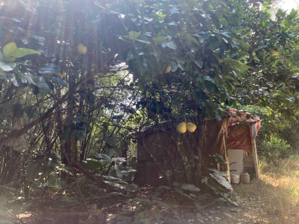 淡蘭古道中路（柑腳-外澳）_1466492