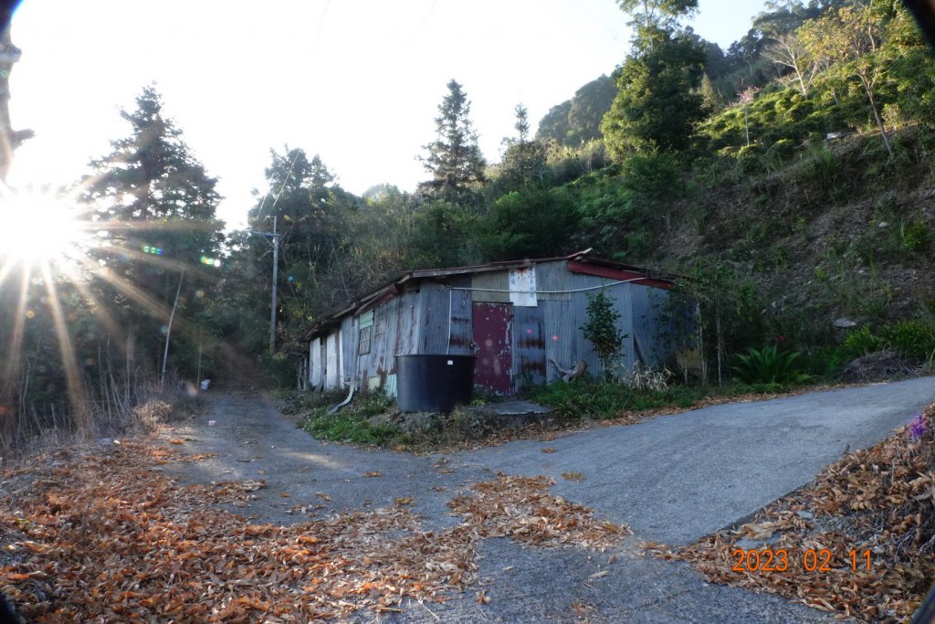 高雄 桃源 頭剪山_2032002