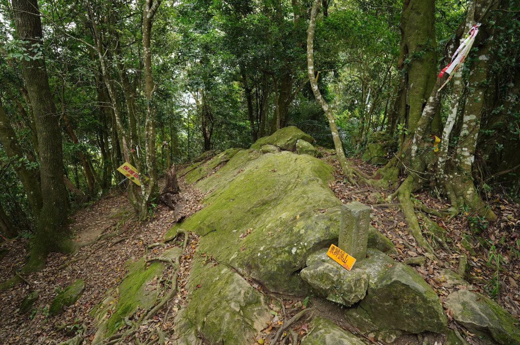 新竹 關西玉山、赤柯山、東獅頭山、西獅頭山、馬福山_2665928