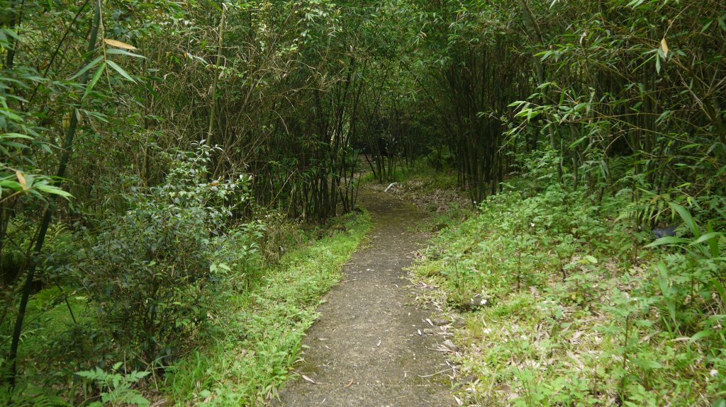 大舌湖步道登山健行趣(步道)_1563577