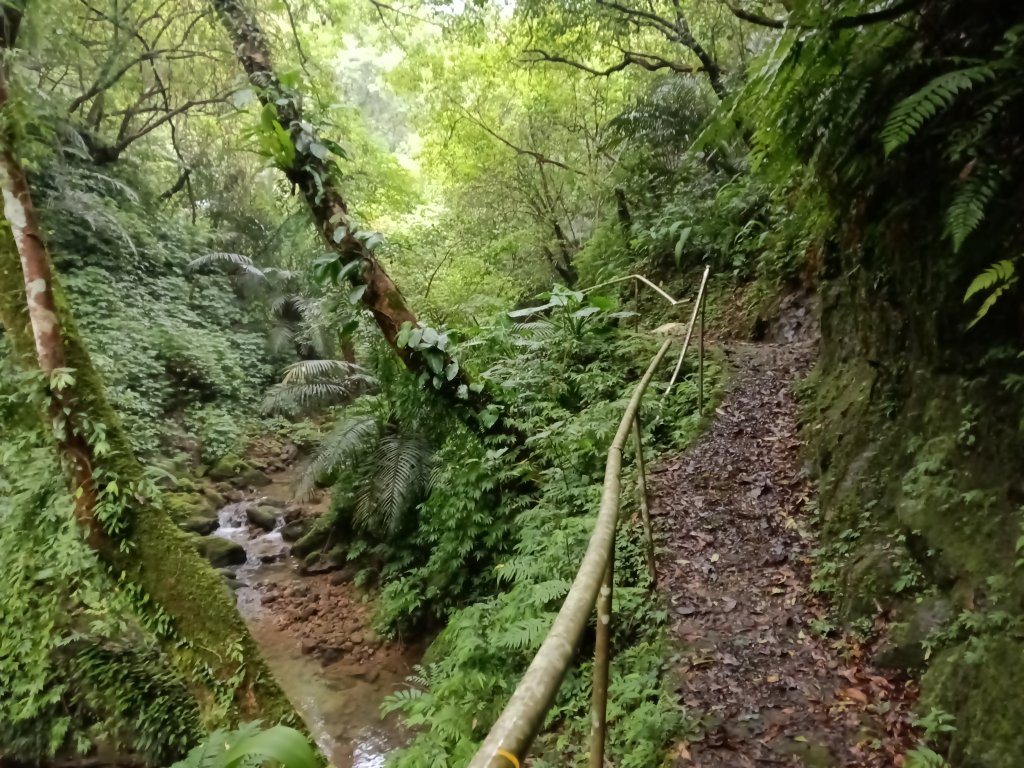 平溪區善覺寺古道(步道)去回_2855364