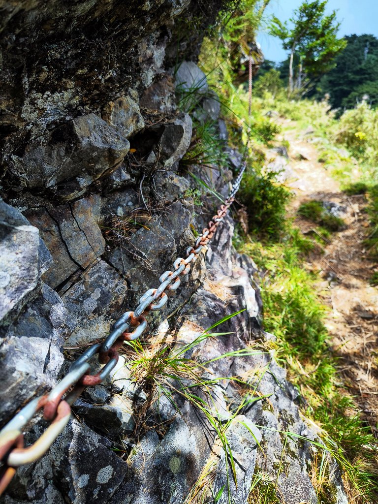 2025-08-24 塔塔加-大鐵杉-鹿林山莊-鹿林前山-鹿林山-黑森林-玉山登山口-上東埔_2869178
