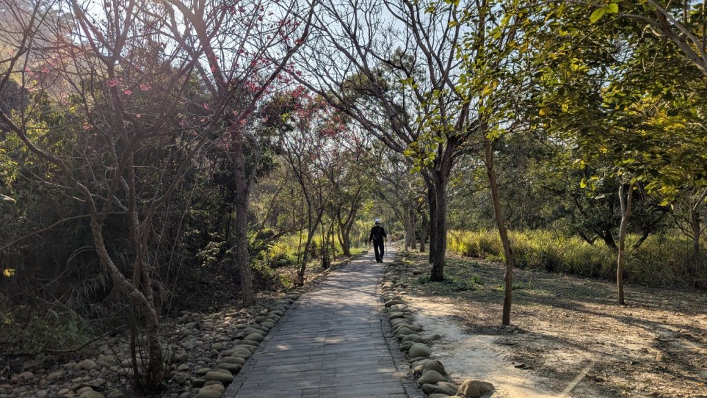 竹坑南寮登山步道_2719365
