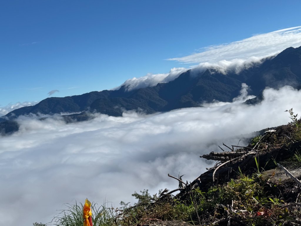 觀霧-榛山步道_2925993