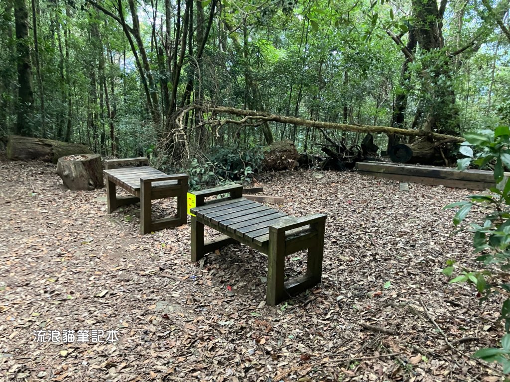 【谷關七雄】八仙山主峰步道_2894859