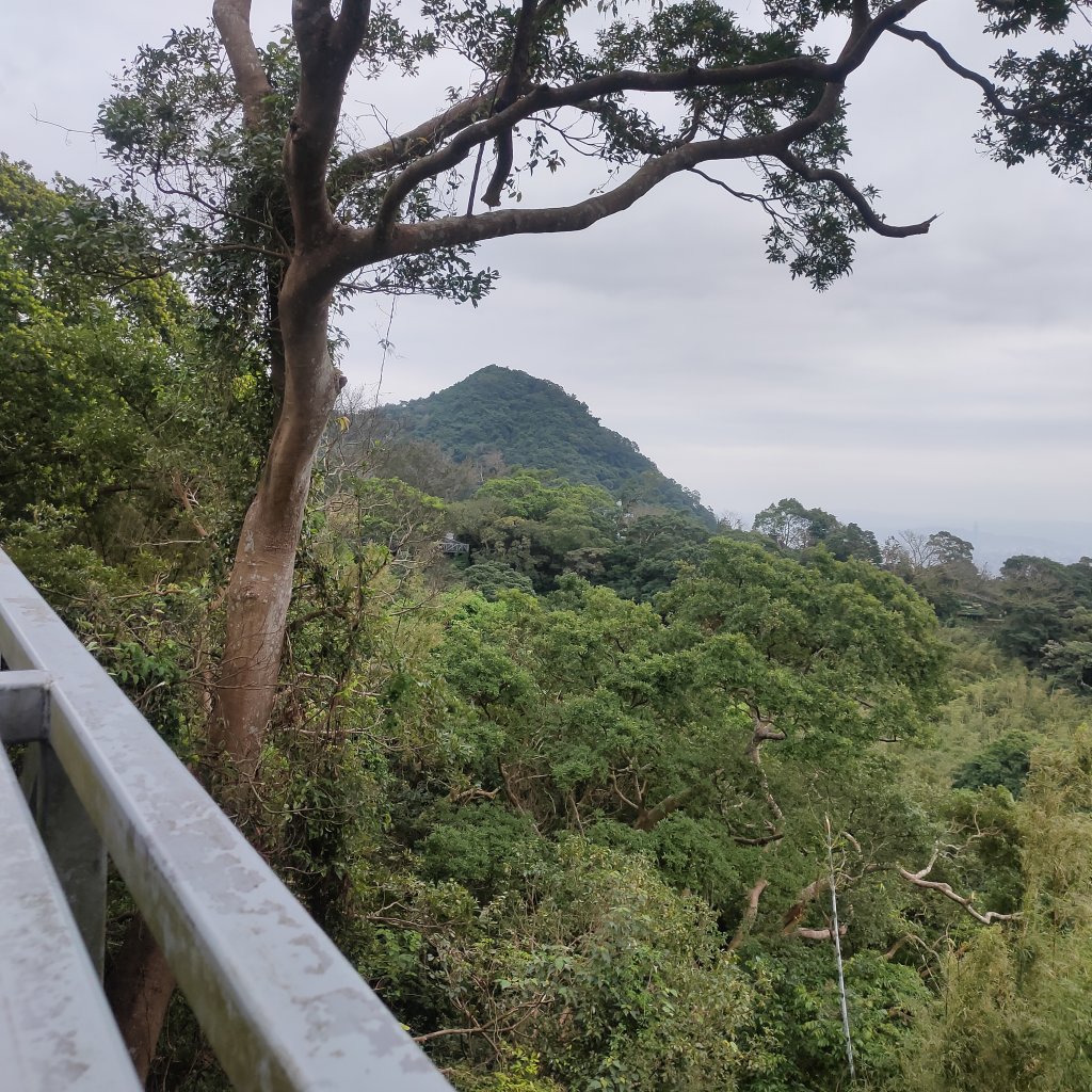 牛港稜山_2672445