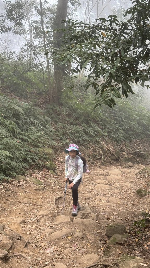 20260101小百岳馬那邦山賞楓團_2973945