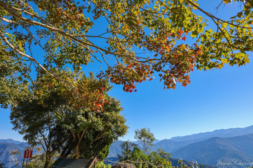 [苗栗]馬那邦山_2355145