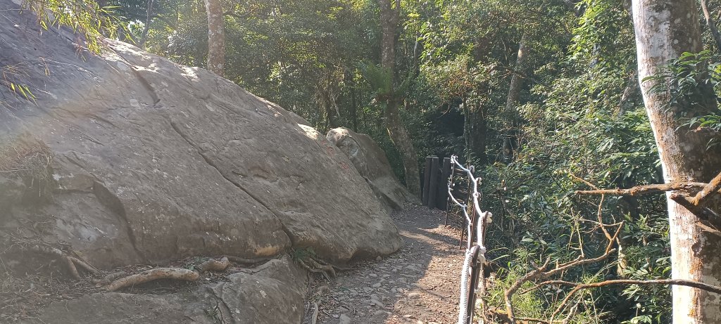 20240224_馬那邦山、細道邦山步道_2436117