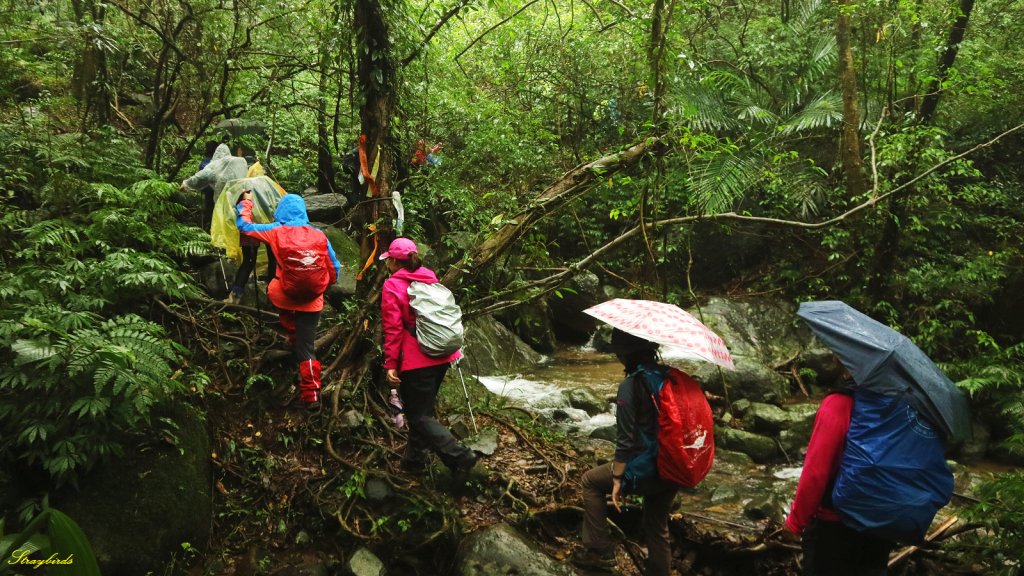 淡蘭古道深度旅遊~尋找古道上珍貴歷史遺跡_754502
