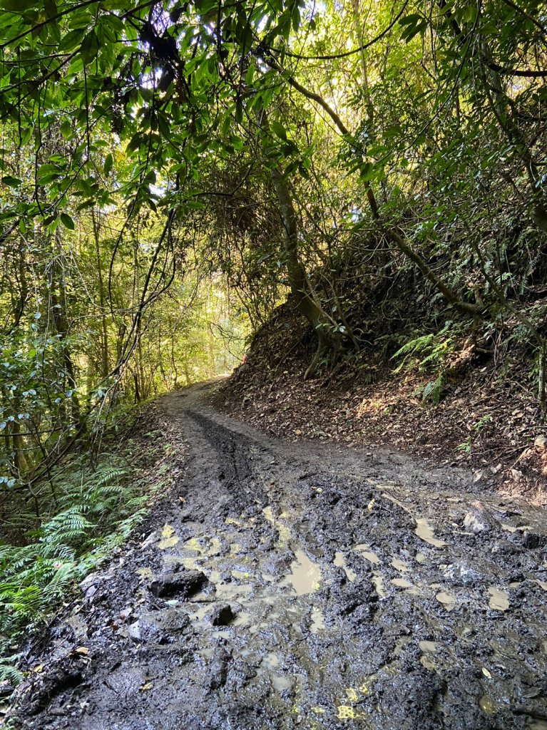 霞喀羅古道_1964608
