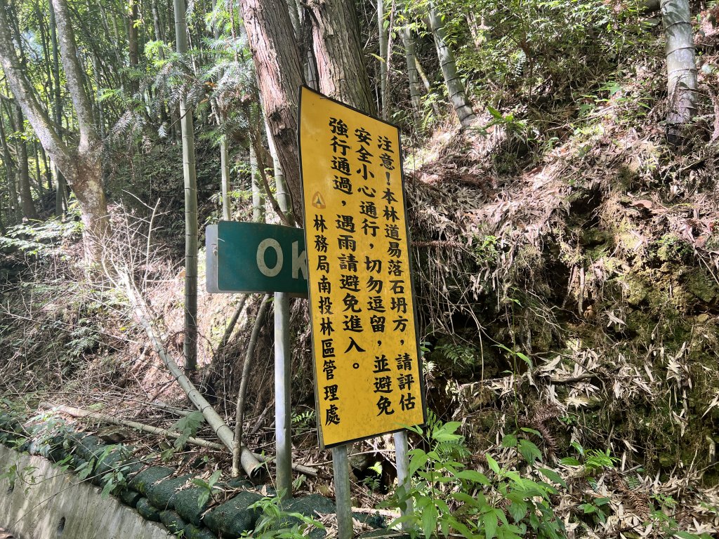 西巒大山 雙龍林道路線探索_2193389