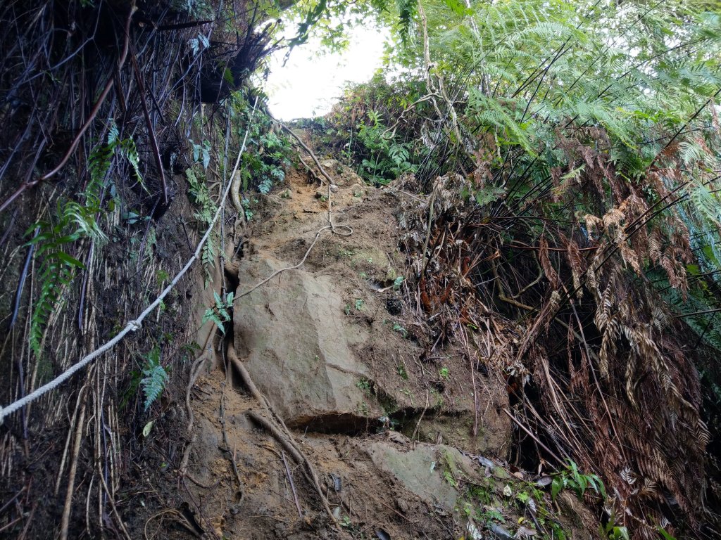 中央研究院--四獸山連走九峰_856845