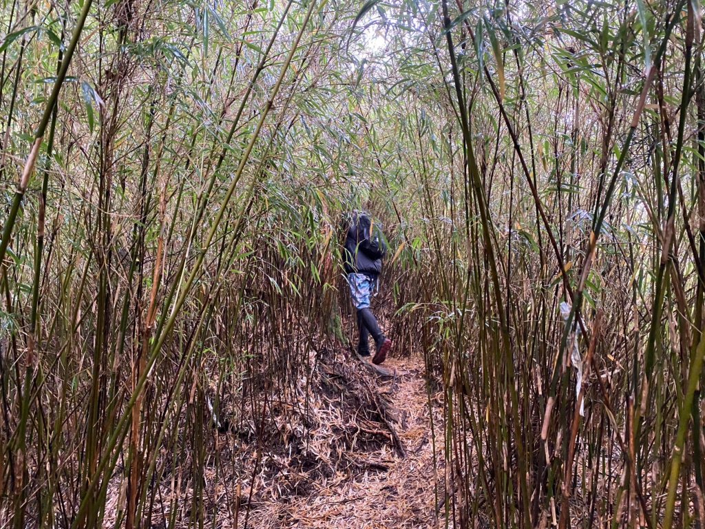 2023.12.01 雨戰大小劍_2370394