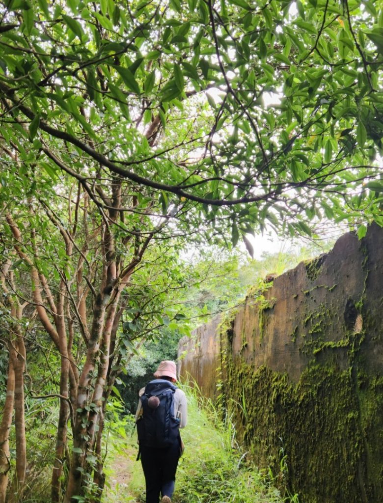 【中級山】隱藏在尖石的神秘古堡，昔日兵家必爭之地，新竹李棟山_2744519