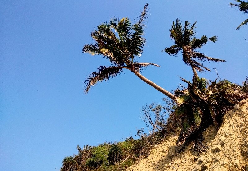 城市桃花源 ~ 阿塱壹 在 高雄_821697