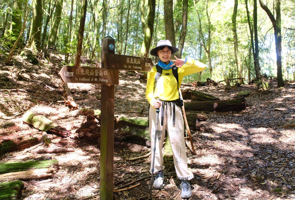 雪見大板根_2924679