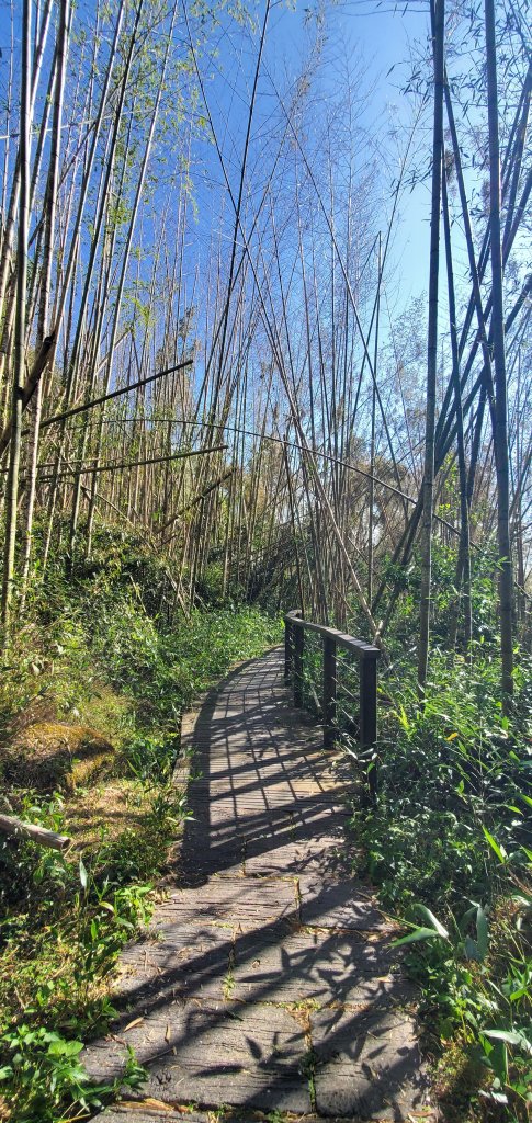 2025-01-30迷糊步道_2704437