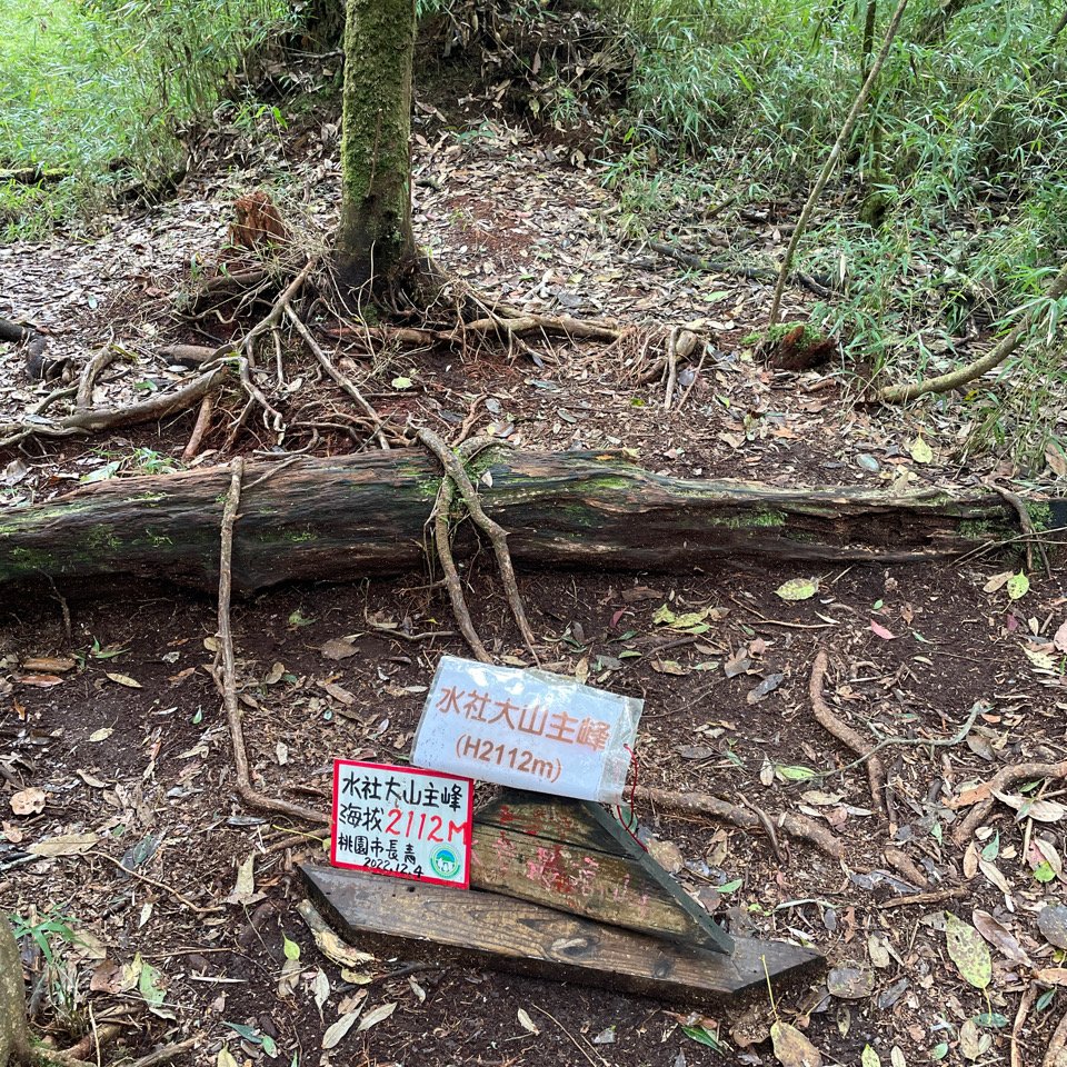 水社大山_2117963