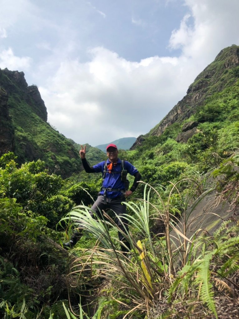 20190526劍龍、鋸齒、無耳茶壺山_593104