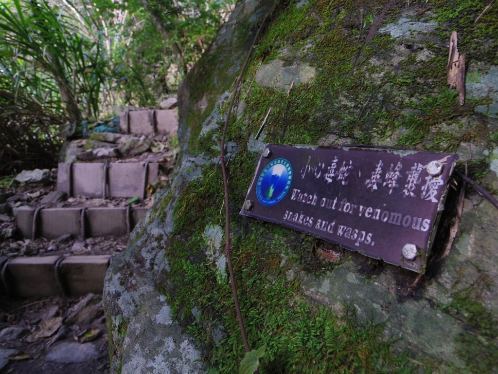 追憶 錐麓古道_2481970