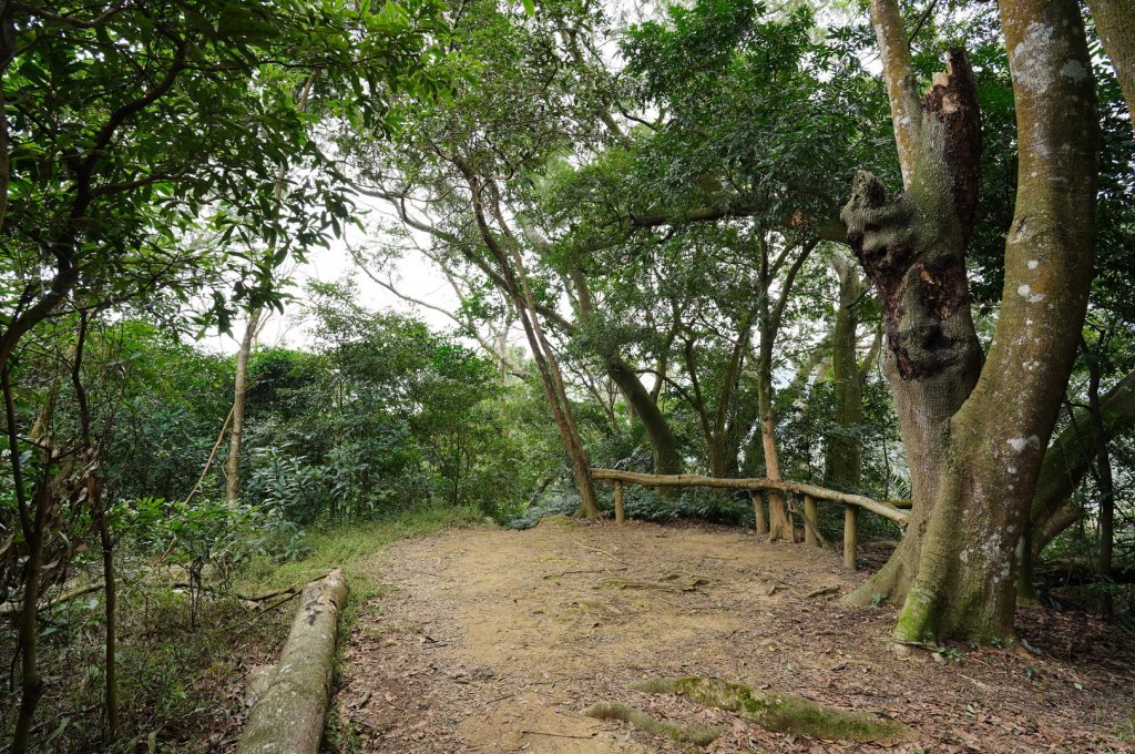 新竹 峨嵋 獅頭山、獅尾山、六寮山、猿山_2450111